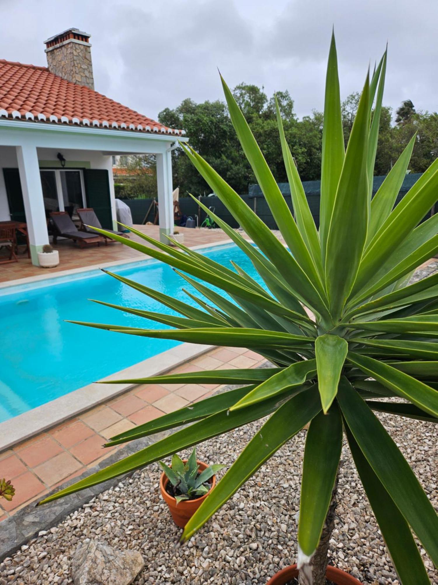 Casa Delbon Guest House Aljezur Eksteriør bilde