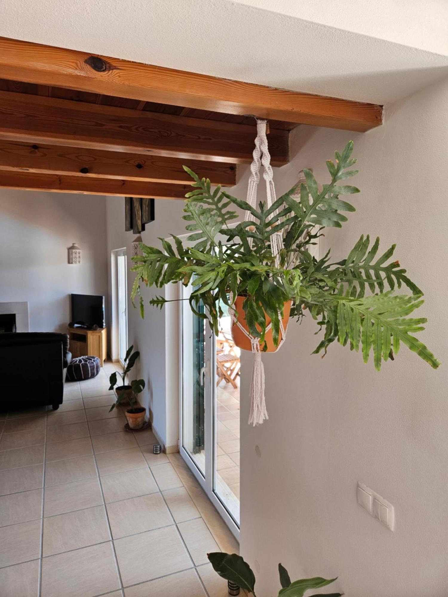 Casa Delbon Guest House Aljezur Eksteriør bilde